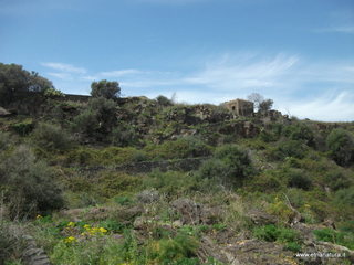 zzena-30-03-2013 12-22-56